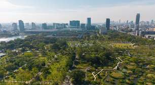 Cidades-esponja: como a natureza pode ajudar a reduzir enchentes nas áreas urbanas
