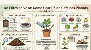 Você joga a borra de café na planta? Veja quando isso pode ser um erro
