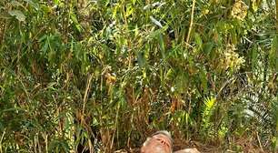 Marcello Novaes encontra refúgio na natureza em sítio na Serra do Rio