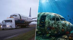 Em 2006, um grupo ambientalista afundou um Boeing 737 no fundo do mar; hoje, ele é um enorme recife de coral