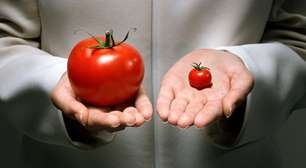 O composto do tomate que surpreendeu contra a gordura no fígado
