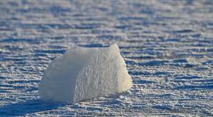 Um bloco de gelo viajou do Alasca a Iowa para testar se icebergs poderiam virar água potável