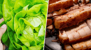 Conseguimos transformar uma alface em uma fábrica molecular e a colocamos para produzir carne de porco