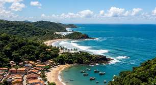 Uma das maiores diversidades de árvores já medidas no planeta a poucos quilômetros do mar: a antiga vila do cacau com mais de 20 praias no sul da Bahia