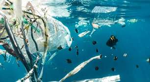 Pensávamos que sacolas e canudos eram os culpados pela poluição dos oceanos; mas o que preenche a mancha de lixo do Pacífico vem de uma indústria completamente diferente