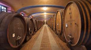Vinhos de Guarda: Como Saber Qual Vale a Pena Envelhecer?