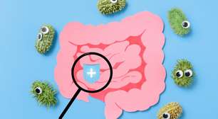 Disbiose: sintomas, causas e como tratar o desequilíbrio intestinal