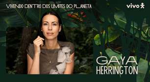 'Junto com o colapso vem a destruição', diz Gaya Herrington ao alertar sobre o futuro do planeta
