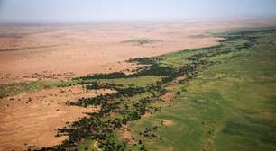 O Saara está engolindo aldeias inteiras: África tenta impedir isso há quase 20 anos com muralha verde de 8 mil quilômetros