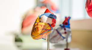 Aterosclerose pode surgir aos 20 anos e aumentar o risco de infarto no futuro
