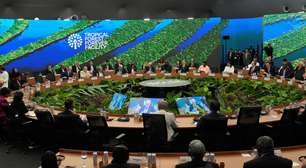 Reino Unido anuncia aporte de US$ 540 milhões ao Fundo Florestas Tropicais para Sempre (TFFF)