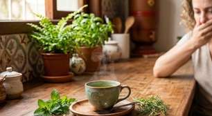 Chá verde, hortelã, camomila ou erva-doce: algum deles ajuda contra o mau hálito?