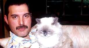 80 anos de Freddie Mercury: relembre a relação especial do cantor com os gatos
