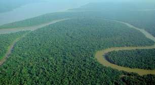 Areia do Saara, rio subterrâneo e escuridão: conheça 11 fatos impressionantes sobre a Amazônia