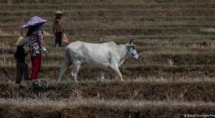 Clima e escassez alimentar elevam risco de guerras no mundo