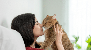 Seu pet tem uma pessoa favorita? Confira os fatores que influenciam o vínculo com os humanos