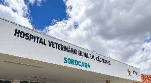 Renovação do contrato do Hospital Veterinário de Sorocaba com gestora inidônea vira alvo de denúncia no Ministério Público