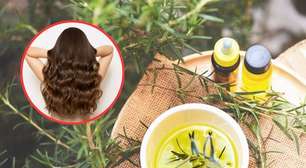 Óleo de alecrim para queda de cabelo: o que realmente funciona