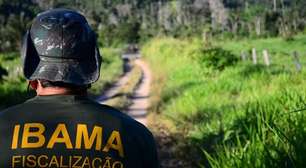 Ibama prorroga acordo com até 50% de desconto para pequenos devedores; adesão vai até 30 de novembro