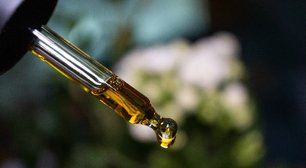 Inovação na medicina: estudo revela que pequenas doses de THC da cannabis podem desarmar células agressivas de câncer de mama e travar metástases