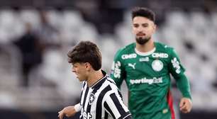 Botafogo trava o Palmeiras no Nilton Santos e deixa escapar chance de voltar a vencer