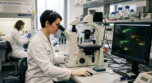 Cientistas descobrem sinal imunológico que ajuda medula espinhal a se regenerar