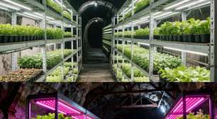 Da poluição ao cultivo verde: cientistas chineses propõem transformar minas de carvão abandonadas em fazendas subterrâneas gigantes