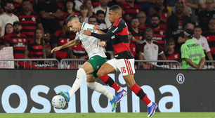 Estatística iguala briga de Flamengo e Palmeiras no Brasileirão
