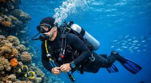 Do fundo do mar a cidades submersas: destinos incríveis para mergulhar no Brasil
