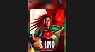 Pedro e Lino retomam trajetória na Seleção Brasileira