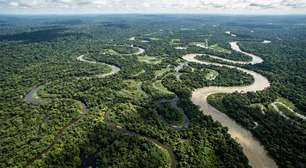 Governo federal cria reserva de desenvolvimento sustentável de 114 mil hectares no Amazonas