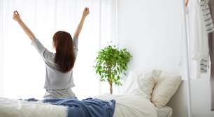 5 plantas para ter no quarto e ajudar a dormir melhor