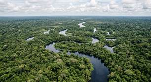 Governo cria reserva sustentável de 114 mil hectares no Amazonas