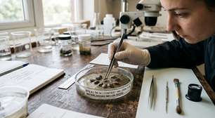 DNA de sementes antigas revela origem e características de melões na China medieval