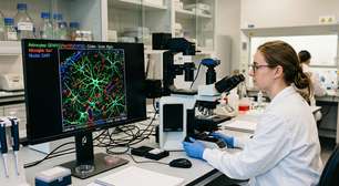 Estudo identifica células cerebrais ligadas ao estresse e aponta novo alvo terapêutico