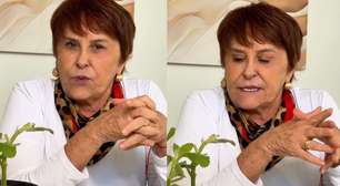 Marcia Sensitiva ensina banho de boldo para descarregar o peso energético