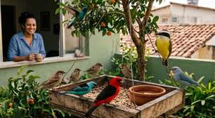Gosta de alimentar os pássaros no quintal? O efeito encontrado em quem faz isso