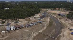 'Mutirão' na Amazônia tenta salvar botos de nova seca com chegada do El Niño