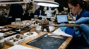 Dentes de 400 mil anos revelam elo genético entre Homo erectus e humanos modernos