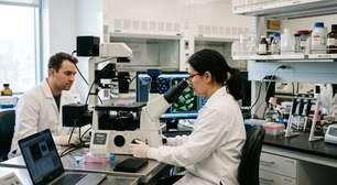 Cientistas criam terapia pronta para uso contra tumores sólidos com sangue do cordão umbilical