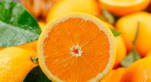 Fábrica de suco de laranja usará bagaço para ter energia