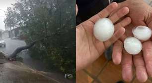 Granizo do tamanho de bola de golfe, deslizamentos e aulas suspensas: fortes chuvas atingem cidades de SP