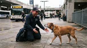 Há seis anos trabalhando no mesmo terminal, motorista encontra novamente o cachorro que costumava esperar seu ônibus no ponto final antes de desaparecer por oito meses, mas o animal retorna mais velho, com uma orelha machucada, e volta a dormir todas as noites debaixo do banco onde os dois dividiam biscoitos