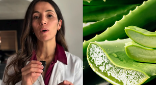 Mariangeles Jofre, dermatologista: 'Cortar um pedaço de aloe vera da planta e aplicá-lo sobre uma queimadura não seria a melhor ideia'