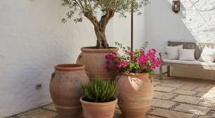 Estilo mediterrâneo: veja como trazer mais elegância ao seu quintal com dicas simples