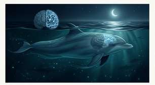 O animal que consegue dormir com metade do cérebro enquanto a outra metade continua de vigia