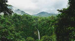 Após perder três quartos de florestas em 50 anos, Costa Rica é o primeiro país tropical a reverter o desmatamento