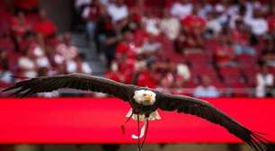 Tratador de águia do Benfica é preso em investigação sobre tráfico de cocaína