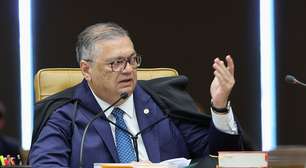 De Aristóteles a Clarice Lispector: veja referências citadas por ministro em julgamento no STF