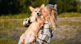 Encostar o focinho na mão e colocar a pata sobre o tutor: veja 6 sinais de que o cachorro quer carinho